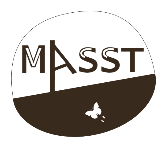 MASST Logo